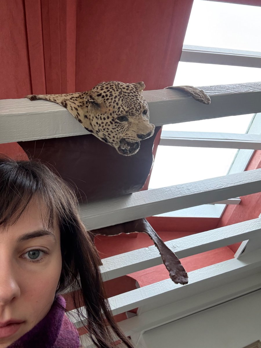 Samantha 🐇 tweet media