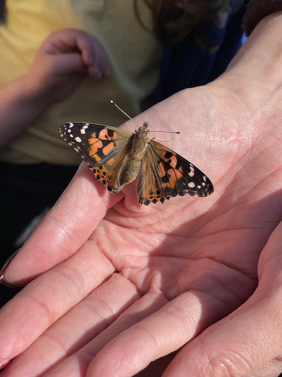 Miss Sharples tweet media