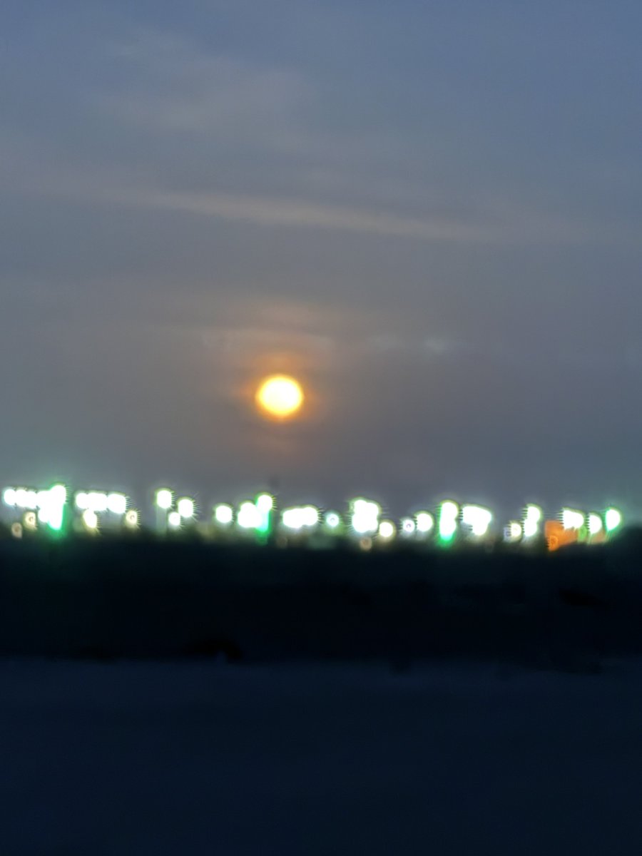 🌹 Saqer 🌹 tweet media