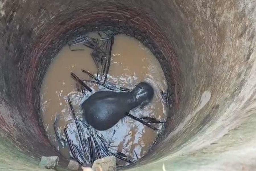 ajinkyabankar's tweet image. A Life Saved:

An elephant rescued from an open well in Khunti District, Jharkhand after a coordinated effort by forest staff, administration, and local community.

A reminder: open wells in elephant areas are silent dangers. Prevention is the key.

#ElephantRescue #Coexistence