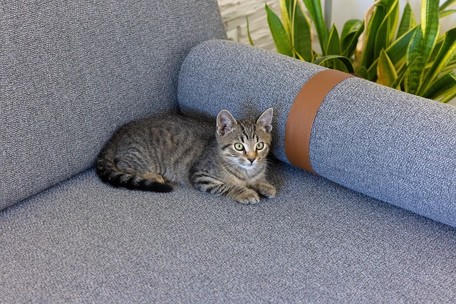 Christina Lee tweet media