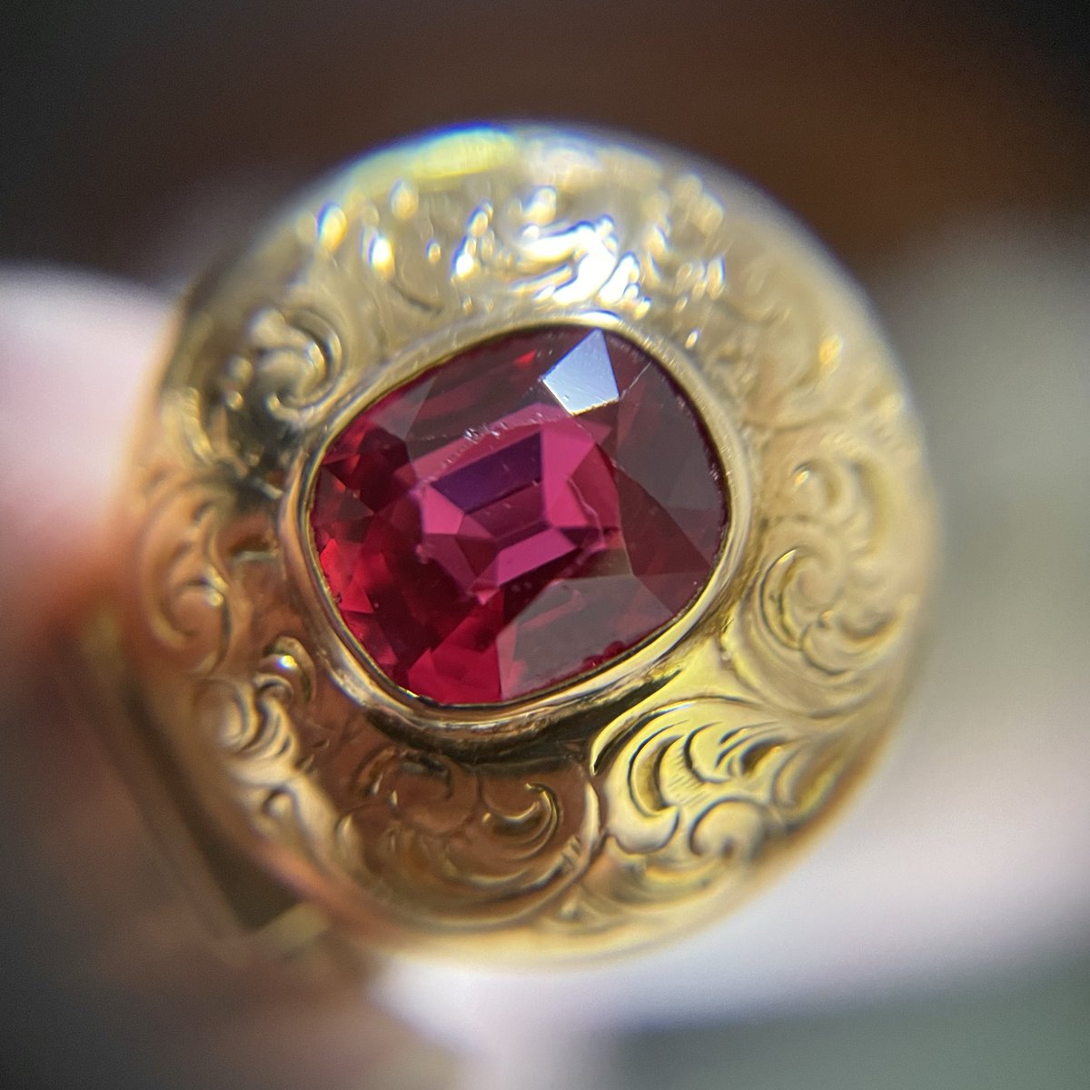 DONATELLA tweet media