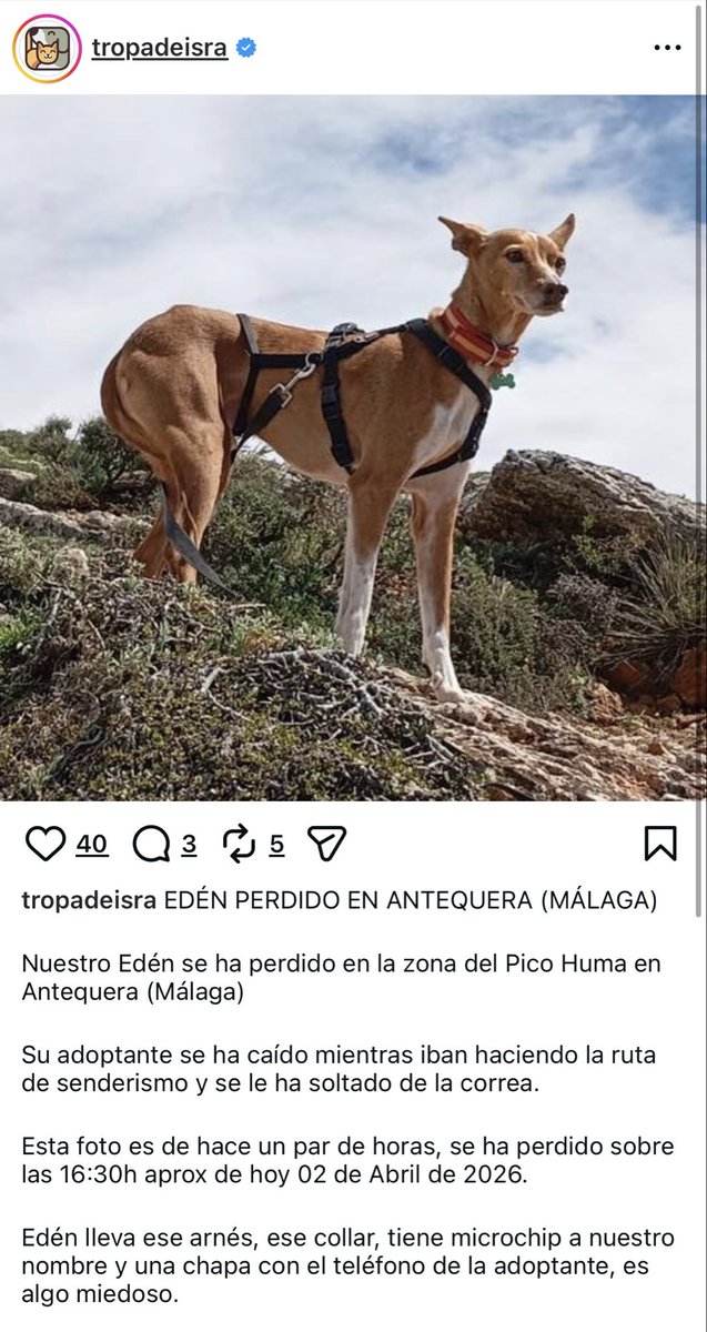 Isabel Díaz ❤️‍🩹 ⚖️ tweet media