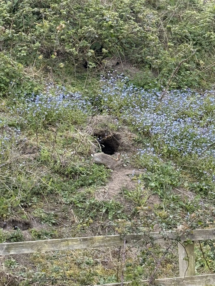 Steⓥen tweet media