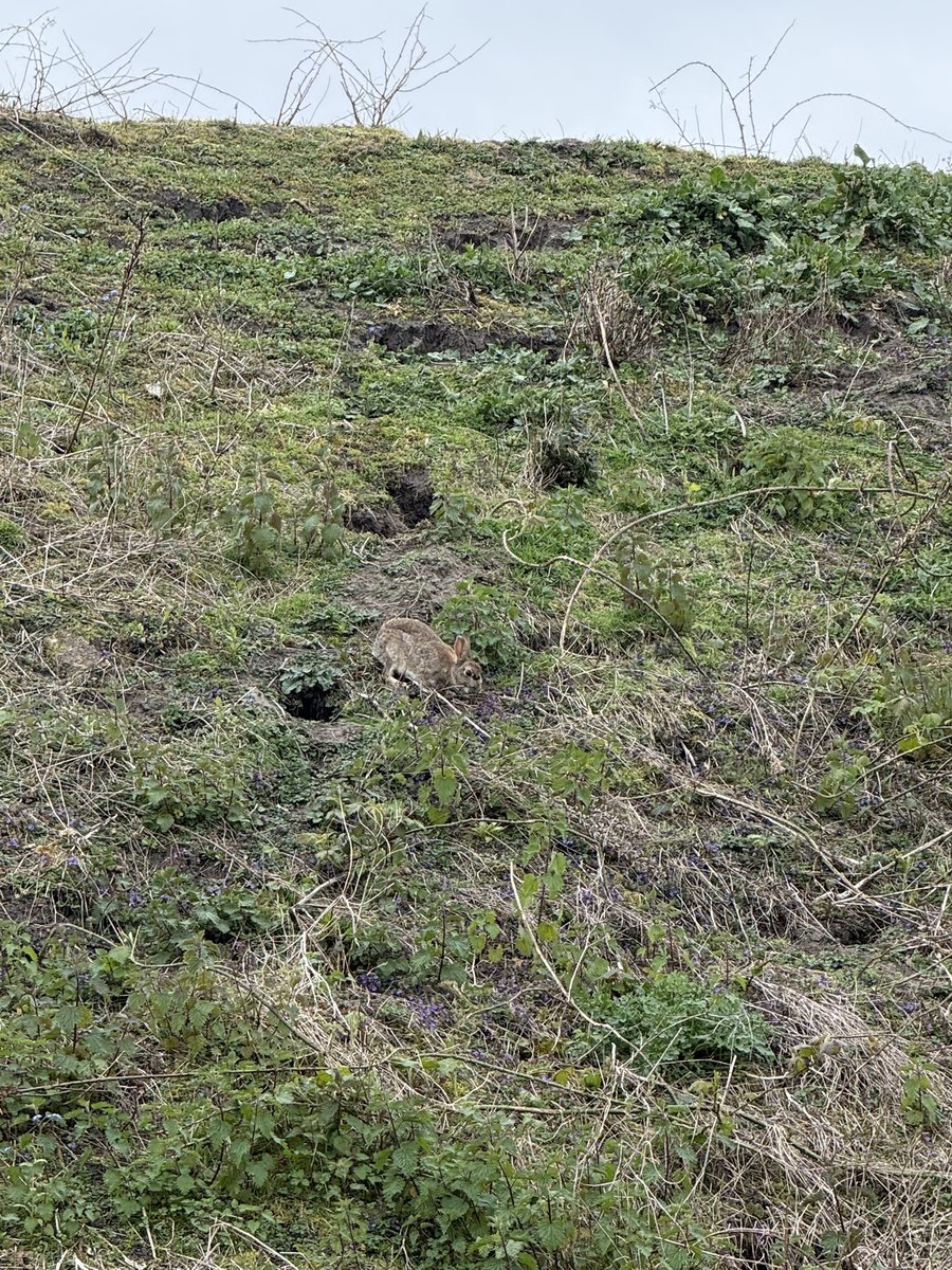 Steⓥen tweet media