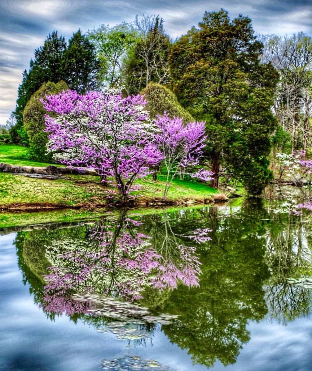 ky_adventure's tweet photo. Visit Bullitt County with Adventures such as Bernheim Forest! https://t.co/GBJM6godPu #bullittcountyky #bernheim #pouriton #trails #bourbontrail #winetrail #adventure #hiking #explore #kentuckyadventure #waterways #adventuretrails #kyadventure #adventureky #ky_adventure https://t.co/2Afq8nfpMO