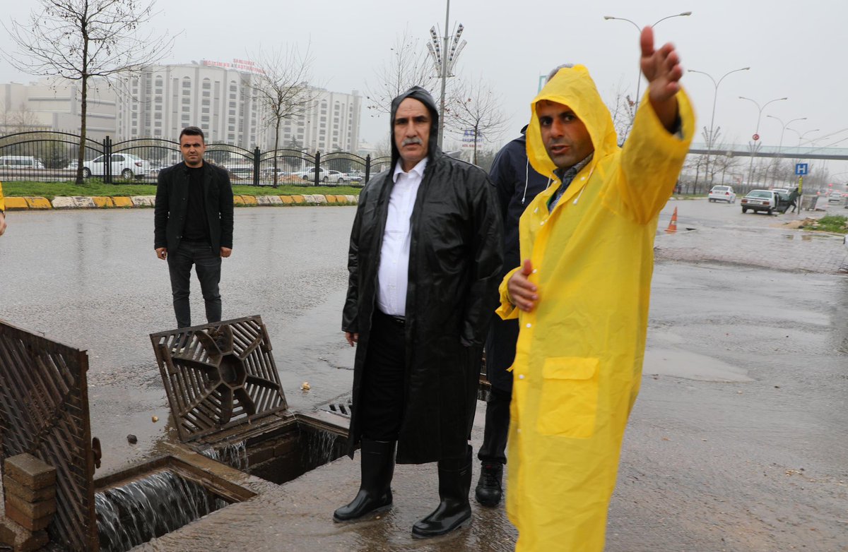 ŞUSKİ GM 🇹🇷 tweet media