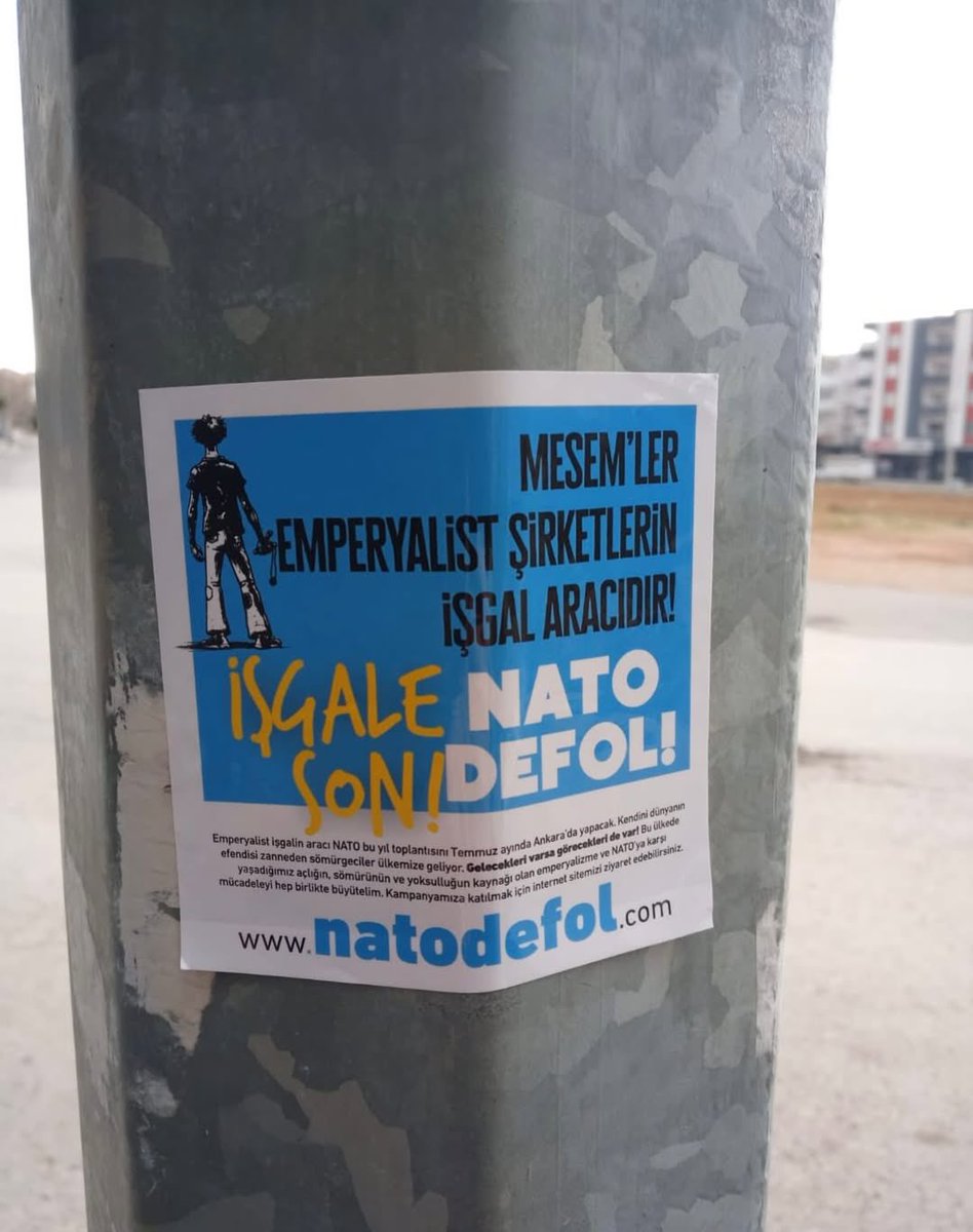 Universiteli.org tweet media