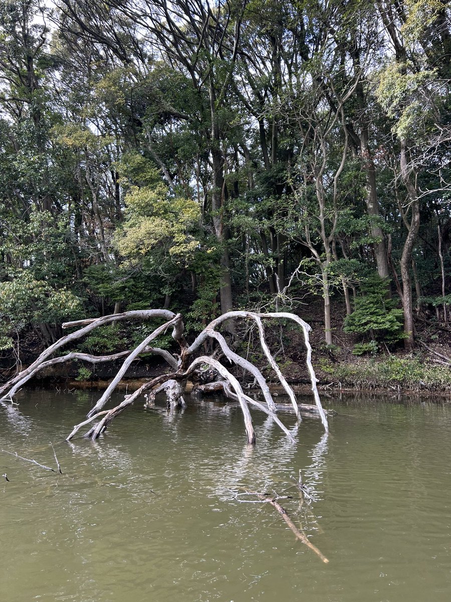 壮平シール tweet media