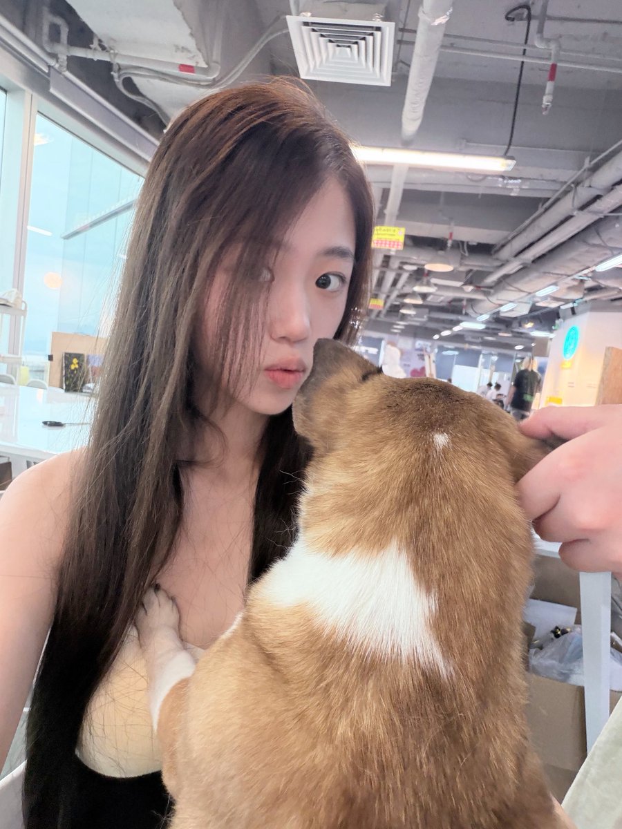 玉皇大帝 tweet media