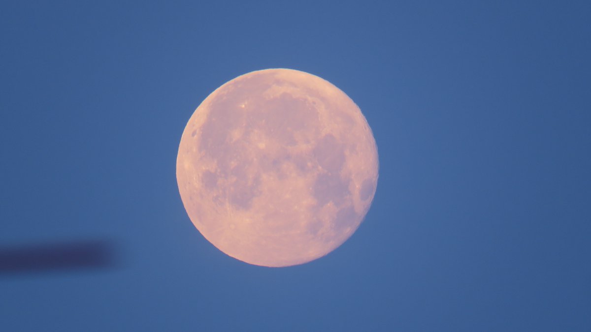 4月の満月「ピンクムーン」は月がピンクになるという意味ではないのですが、一昨年2024年の4月、どういった空の具合か、早朝、ピンクに見える満月がありまして、取り急ぎ撮影。ということがあったなと思い出し、再掲です。
2024/4/25 05:32～撮影。