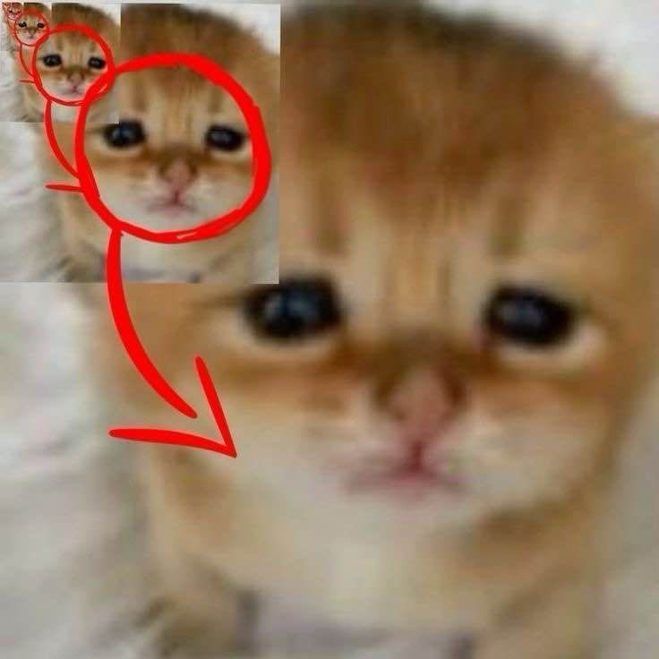 jupinho™ 🦇 tweet media