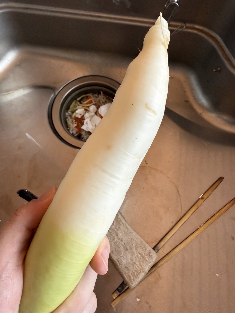 フーミンパパ☽チョコボ鯖Chris P'bacon温泉・湯治宿大好き tweet media