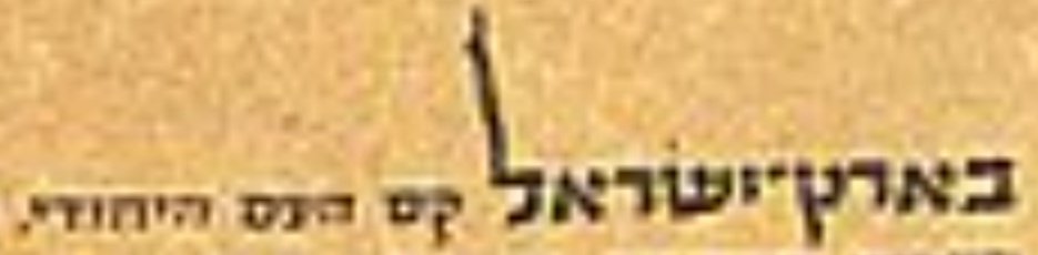 gilad hoshen tweet media