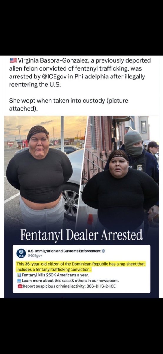 Zoeforlife tweet media