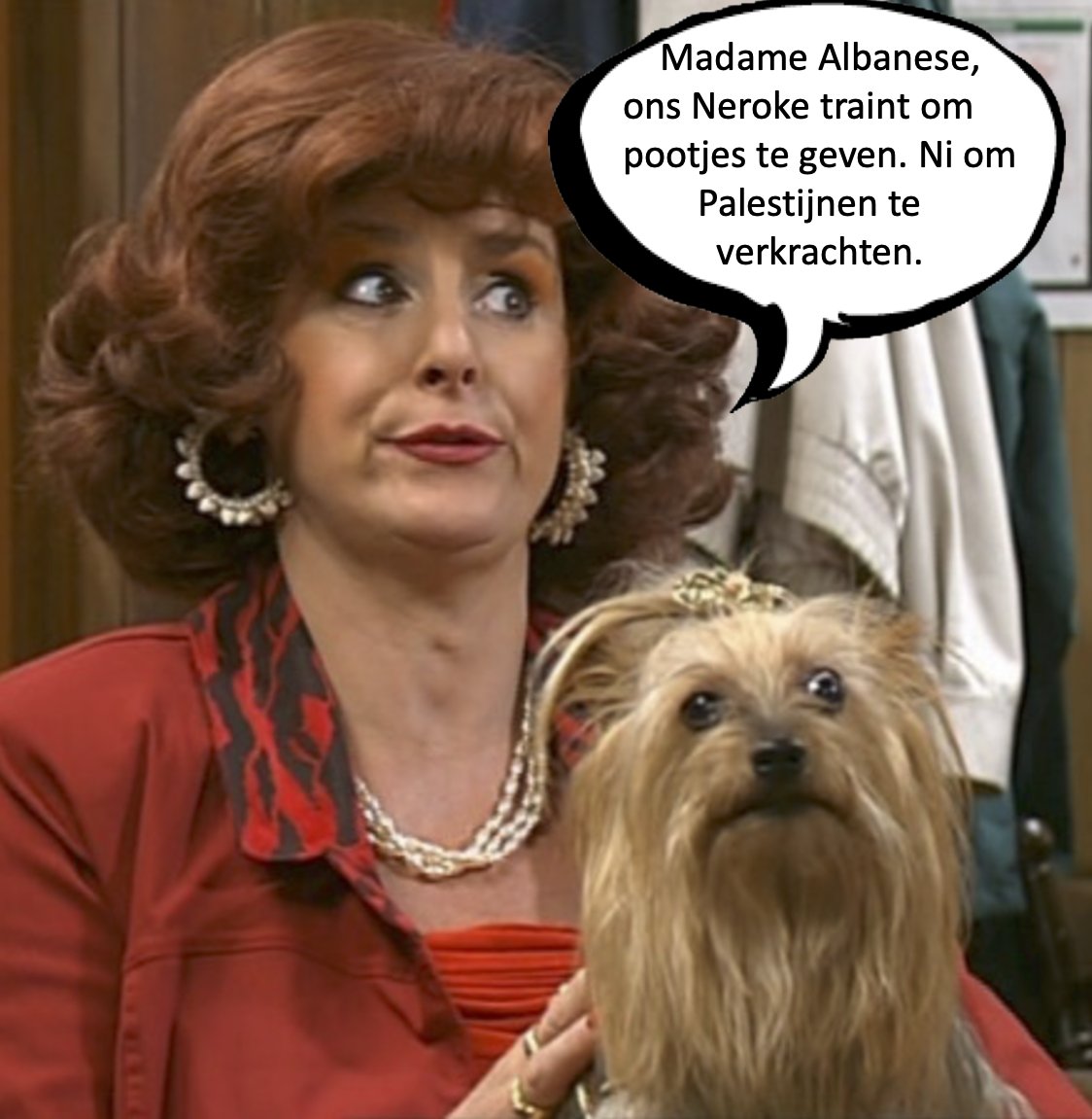 Michael Verstraeten tweet media