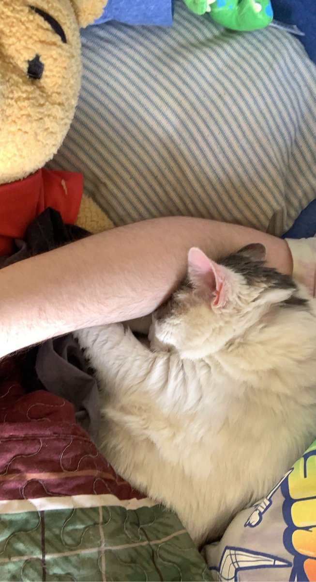 ephie🍉🌻 tweet media