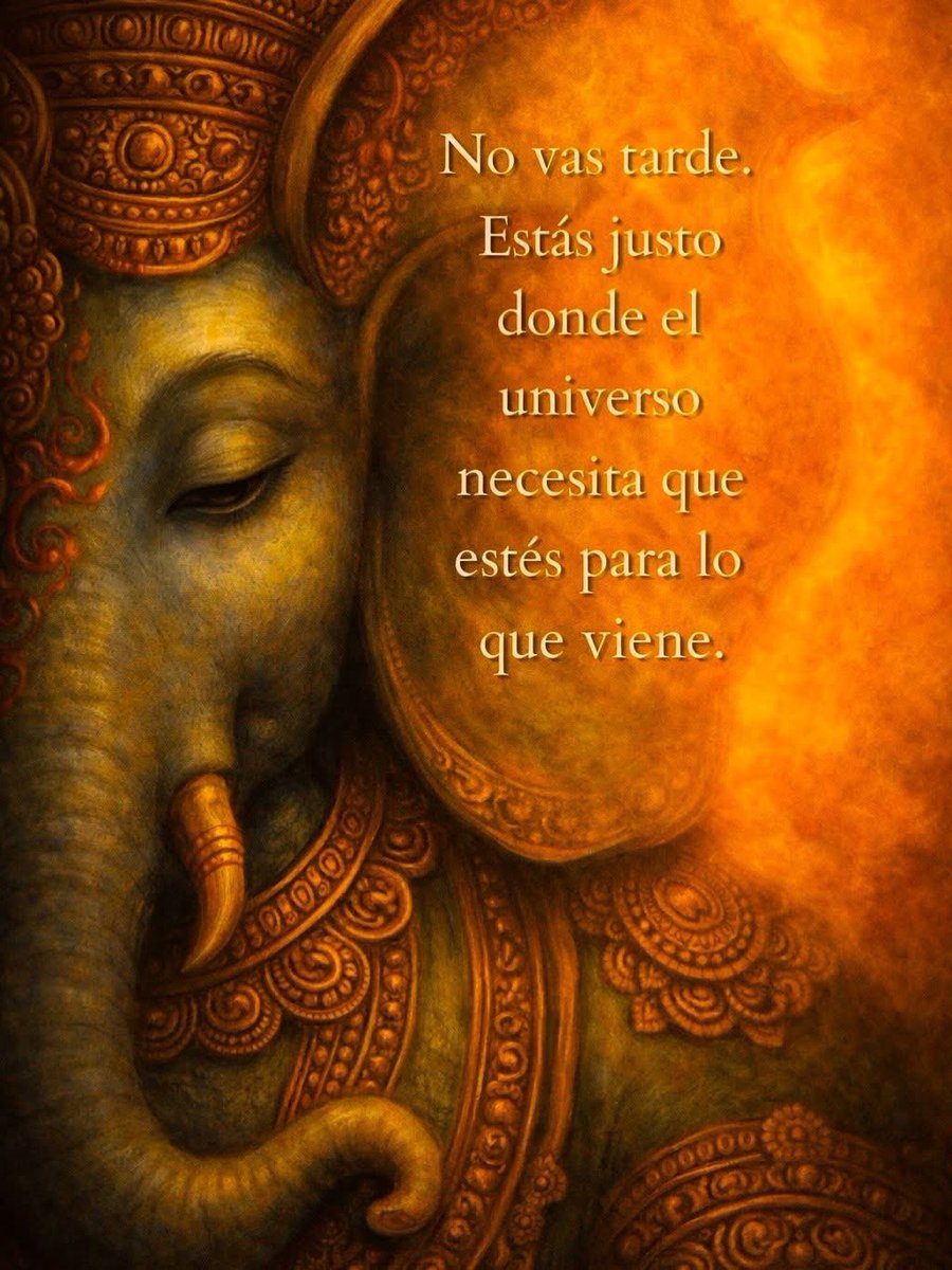 Alejandra Tamayo tweet media