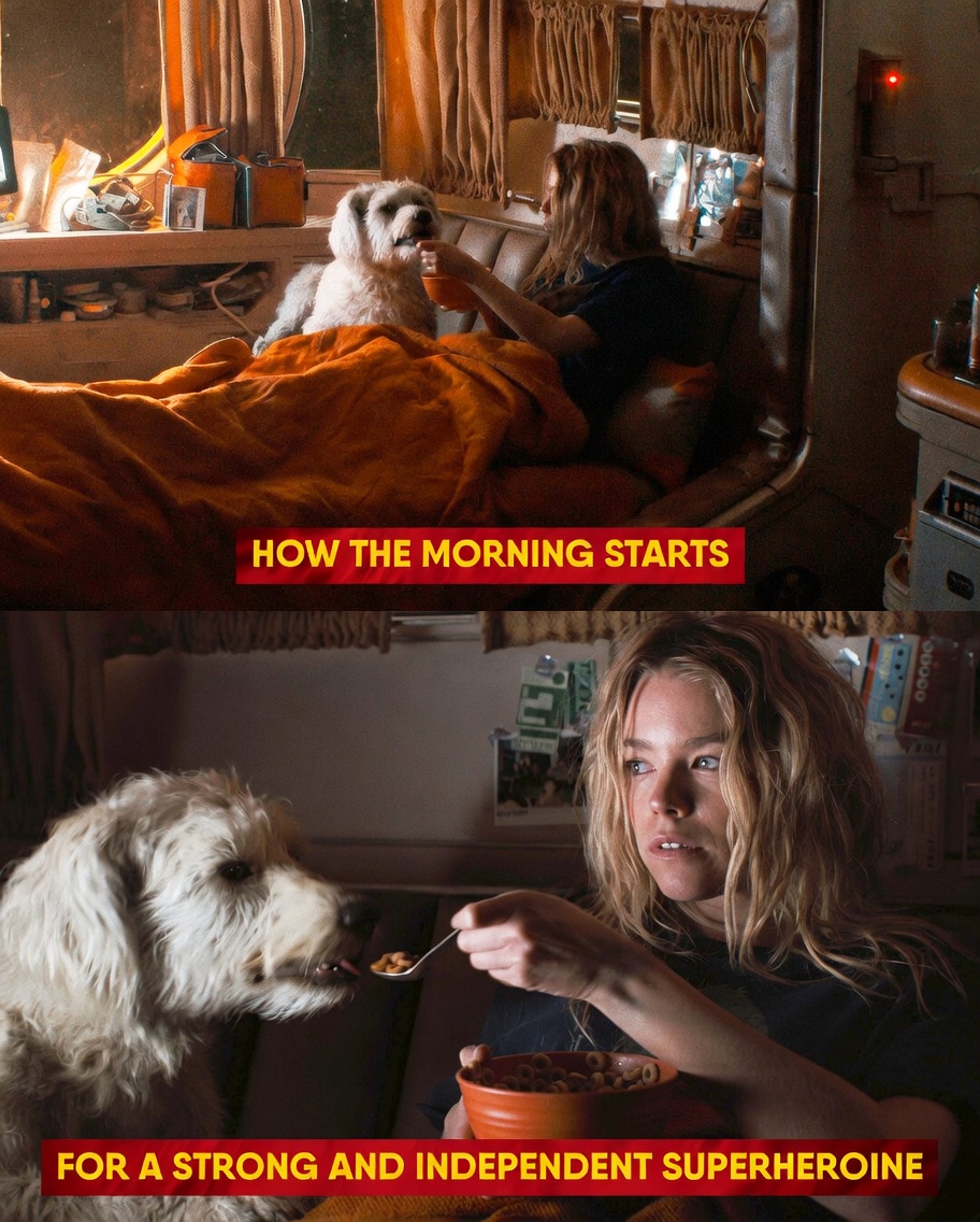 Legendary Fragments tweet media