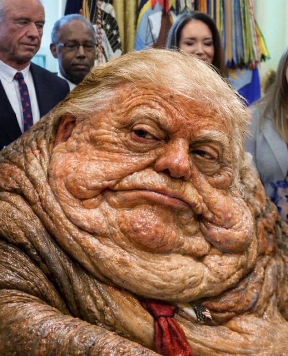 Taylor Stein tweet media