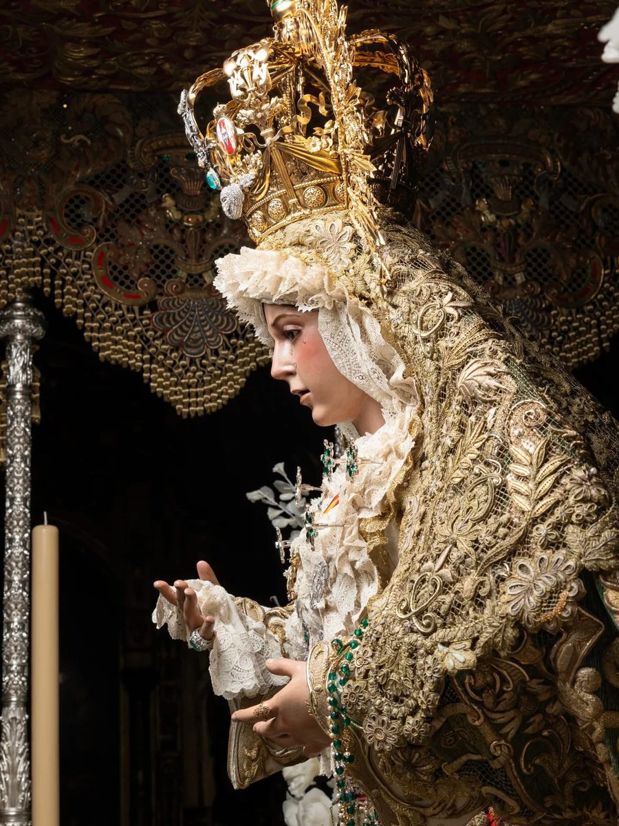 Víctor D. Regalado González-Serna tweet media