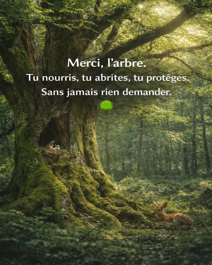 Crazy -Horse- Zembla 🙏🐺🐎❤️ tweet media