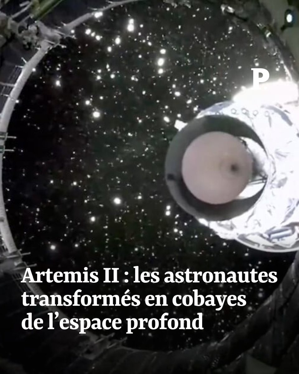 Le Point tweet media
