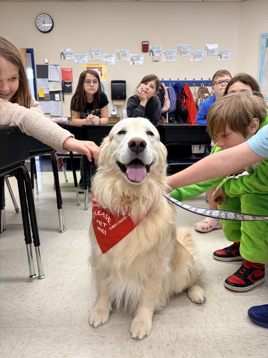 Lauren Larson tweet media