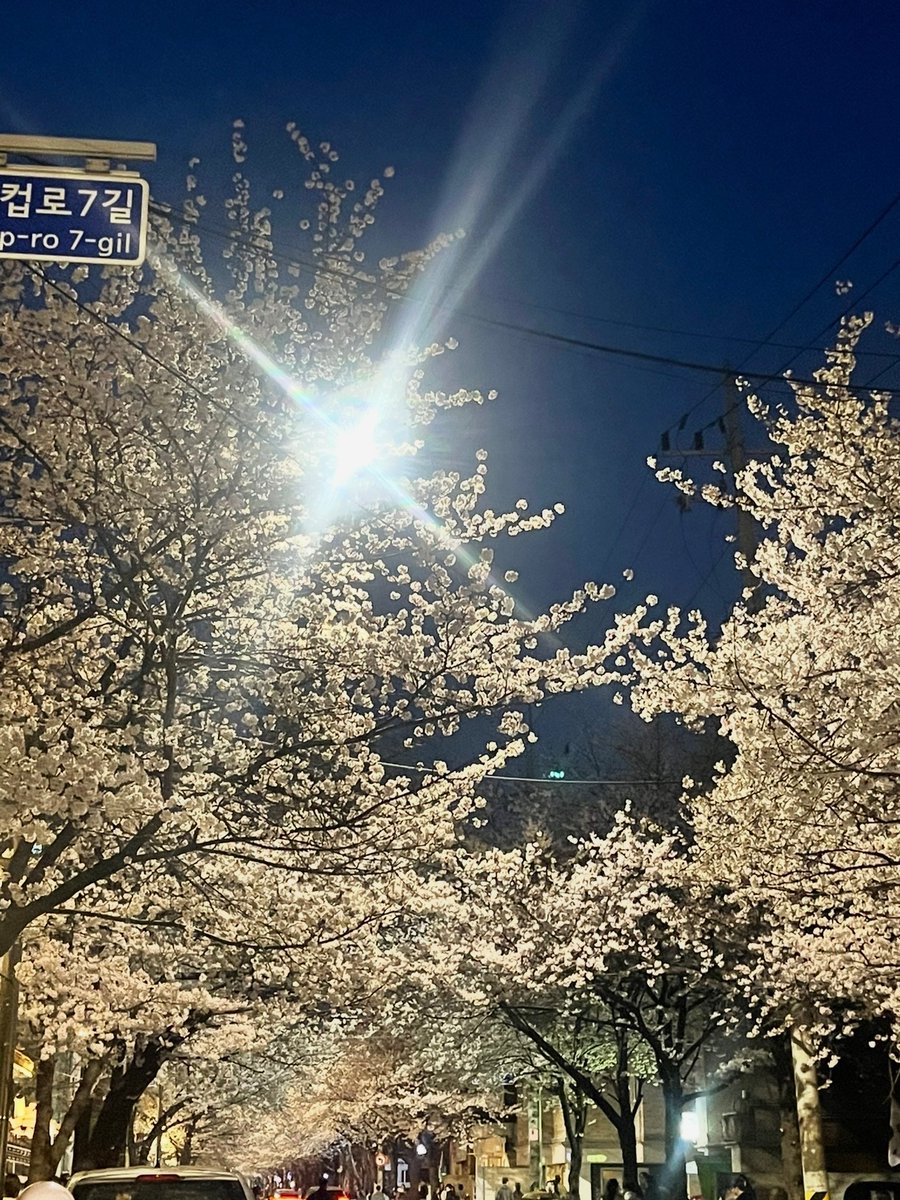 おもちちゃん🎀韓国留学生の美容アカ tweet media