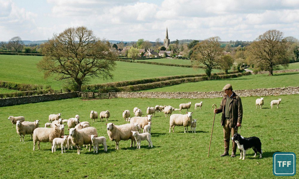 TheFarmingForum tweet media