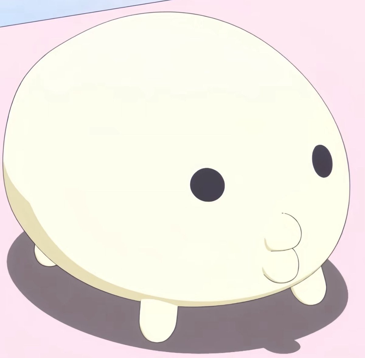 보내는쫑 tweet media