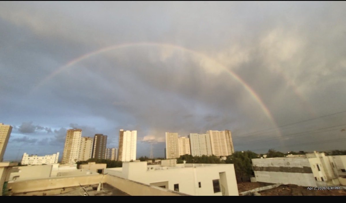 نگاہ بسمل 🕊 tweet media