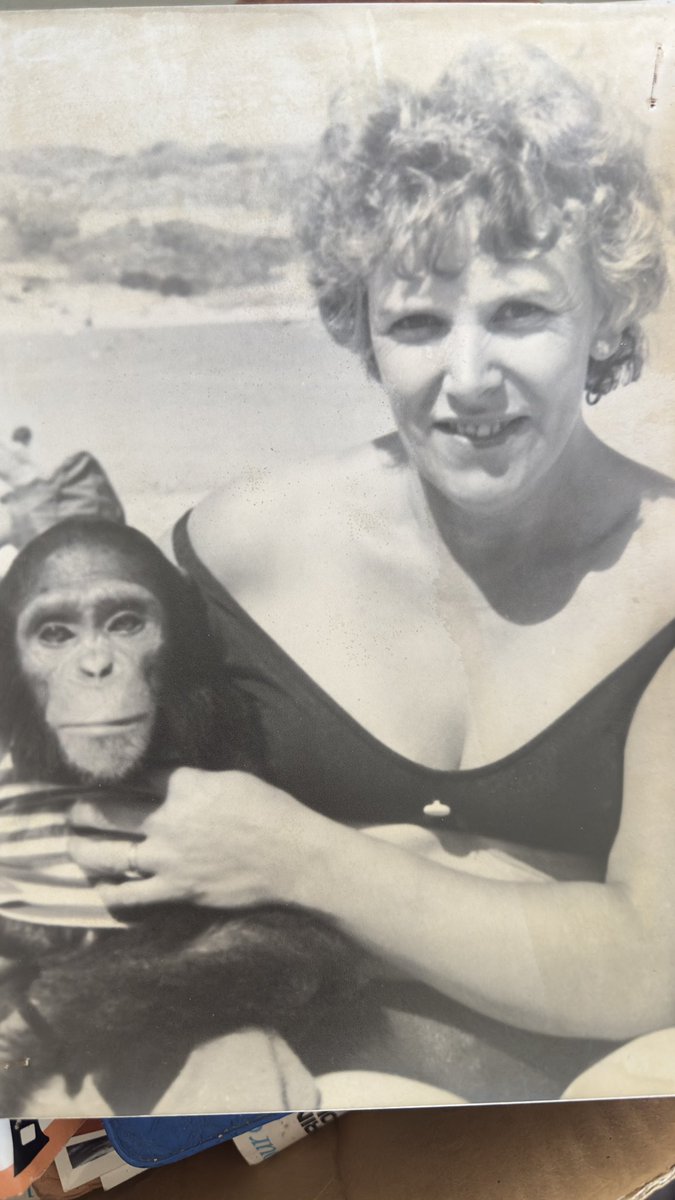 ShaunAshmore2's tweet image. Been up in the loft and the first pic you come across just sets you off 🥹 mum was so beautiful 😍😢❤️ #mum #foreverinmyheart