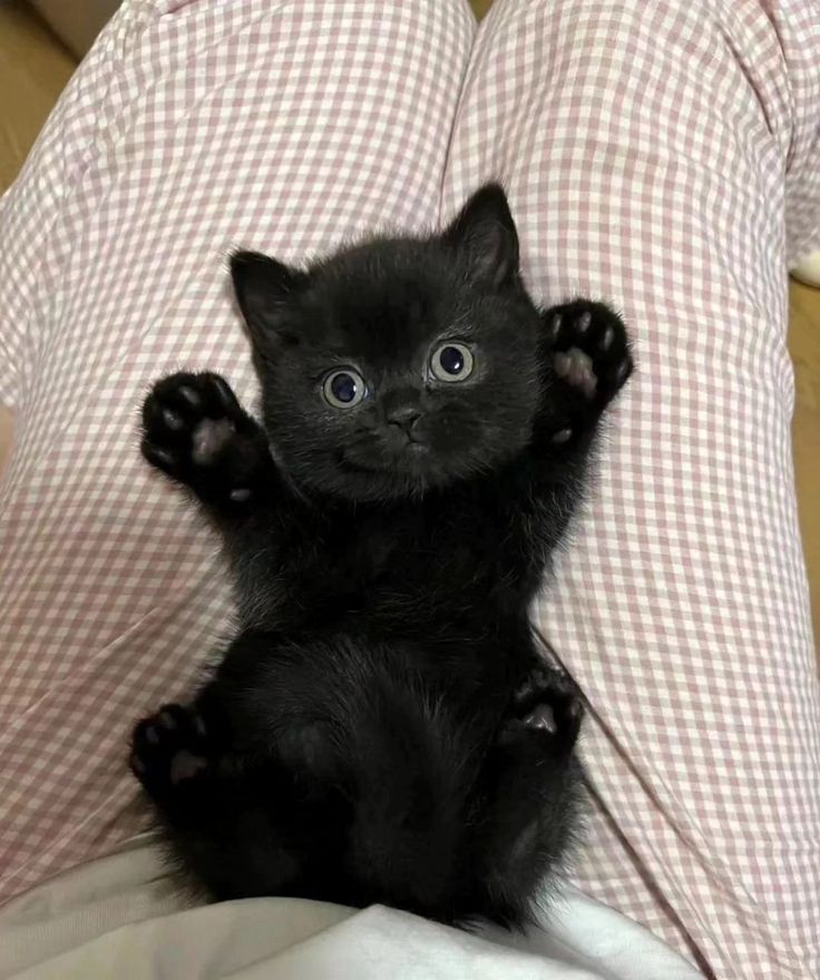 ‍ ‍ ‍ ‍ ‍ ‍ ‍ ‍ ‍ S̶p̶i̶d̶e̶r̶–W̶o̶m̶a̶n̶ 𝑀𝑎𝑦 tweet media