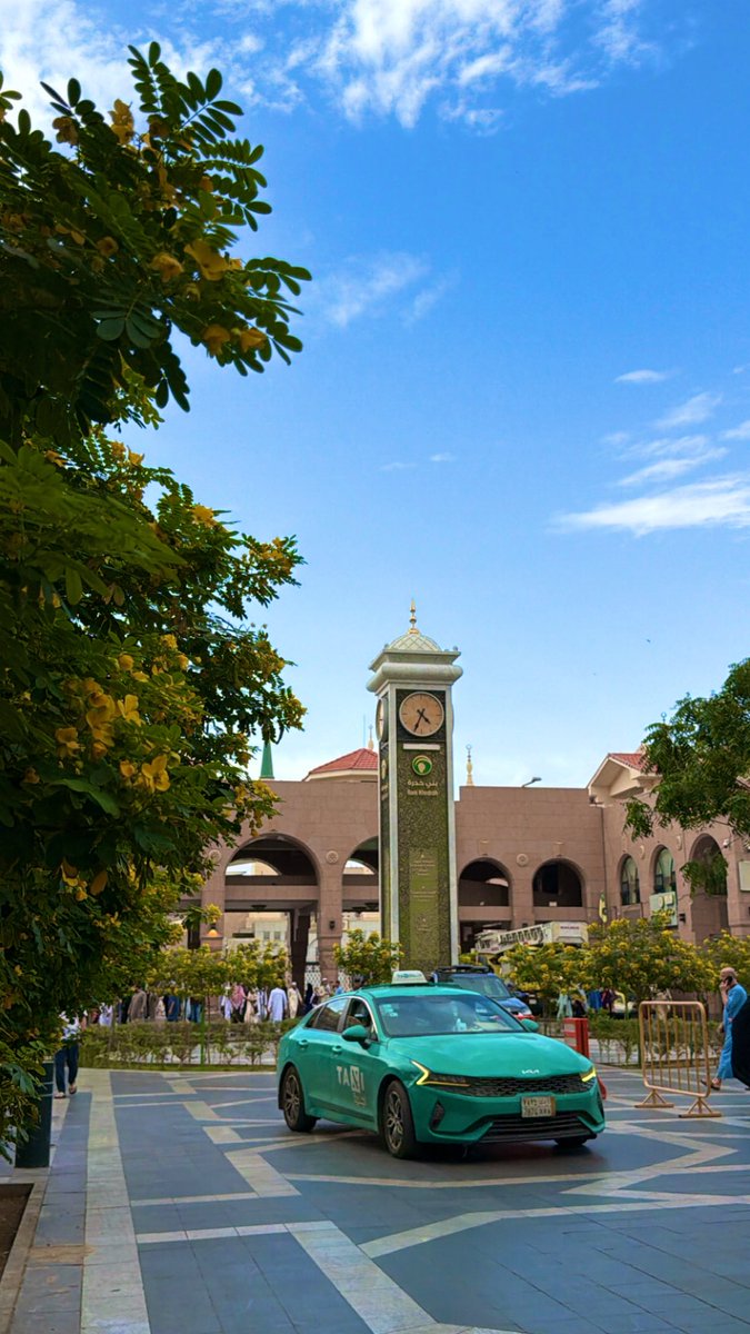 سَـمر tweet media