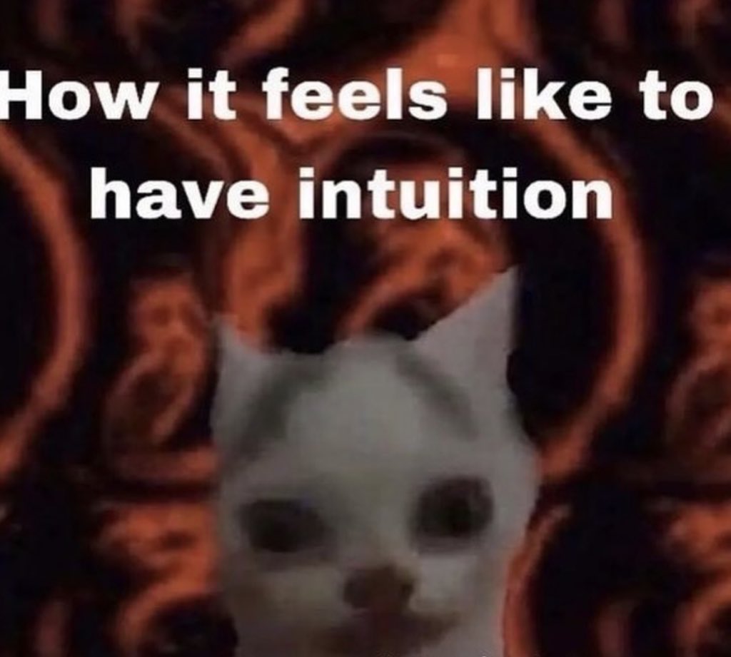 Kidney Girl tweet media