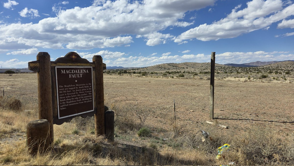 Shelly Olmstead tweet media