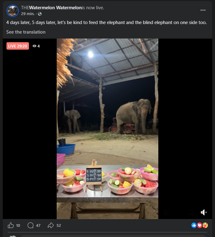 Dios.sol tweet media