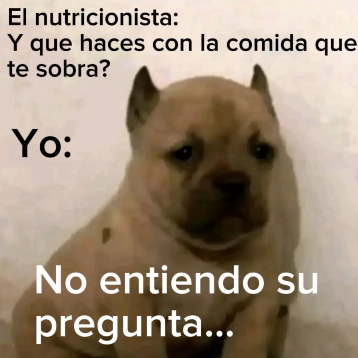 Mundo de Bigotes tweet media