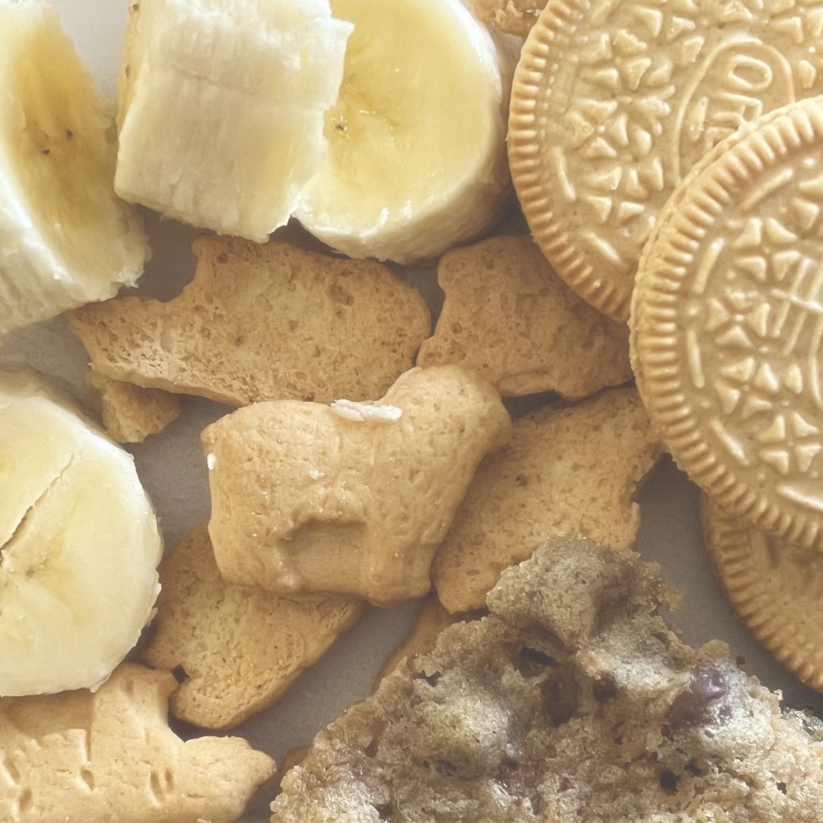 rꪱᜒᥱ﹙ 🧁 ﹚sᥱmꪱᜒ - rᥱᥴ᥆v ᥱrᥲ ‎ ‎ ‎ tweet media