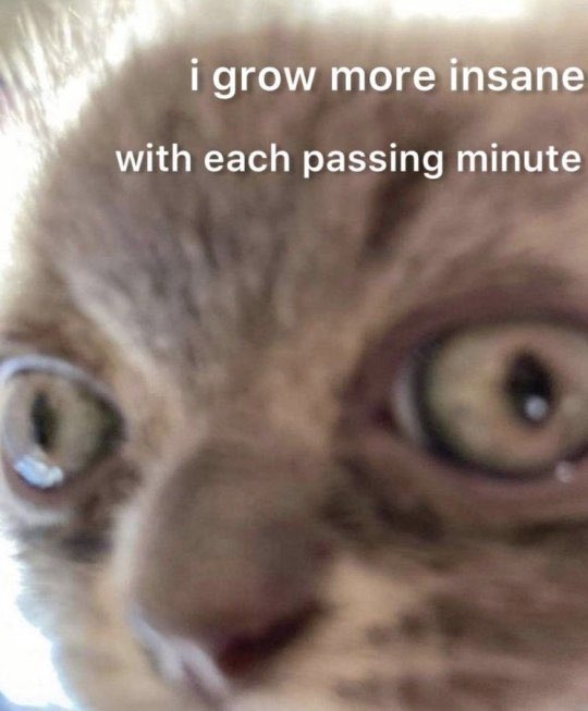 namisook tweet media