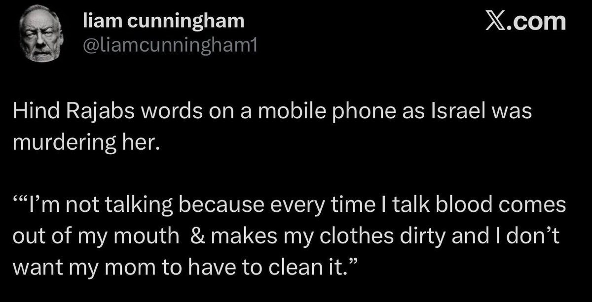 Seyed Mohammad Marandi tweet media