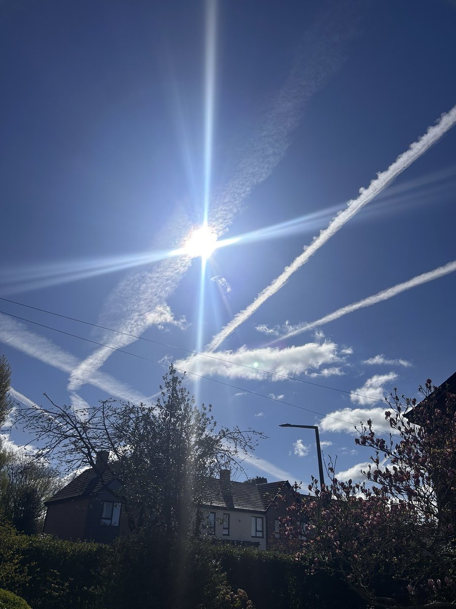 William Mccrea tweet media