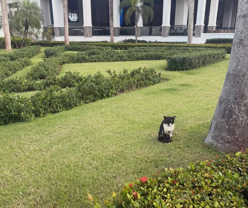 RickBeck19 tweet media