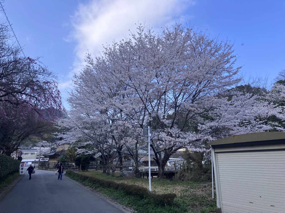 Takeshi Uemura tweet media