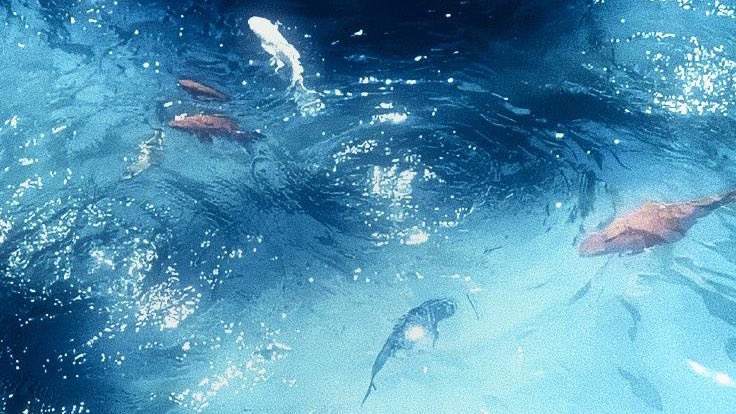 aerith ✧ tweet media