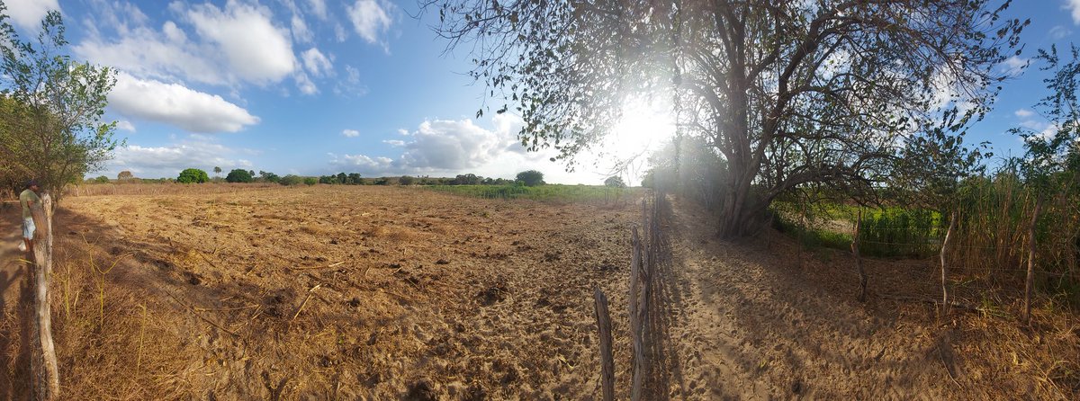 Dhikrita tweet media