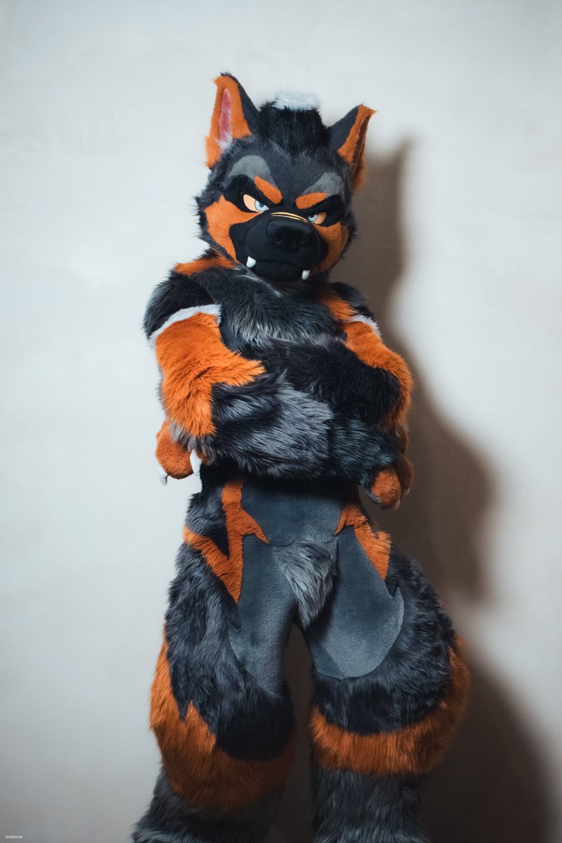 AK-9🚨🔜FurstClass tweet media