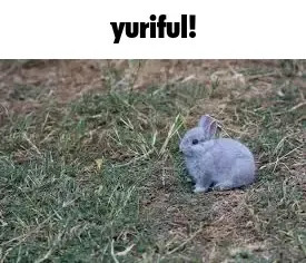 Hathor🔞 tweet media