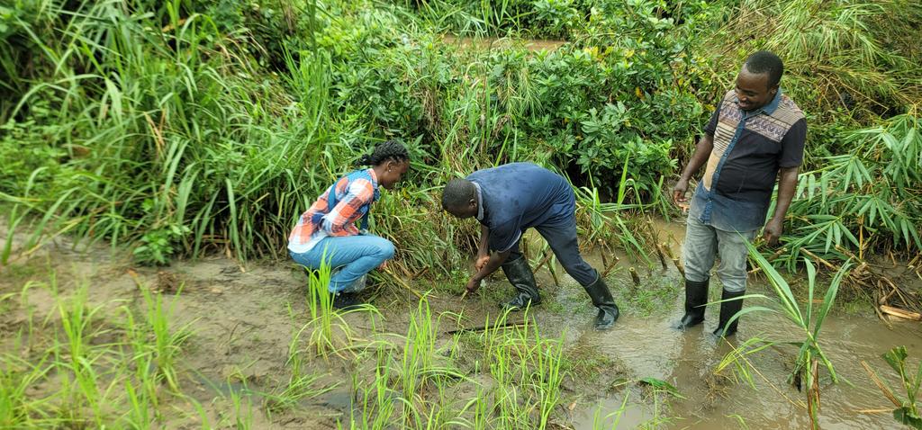 greenforfuturetanzania tweet media